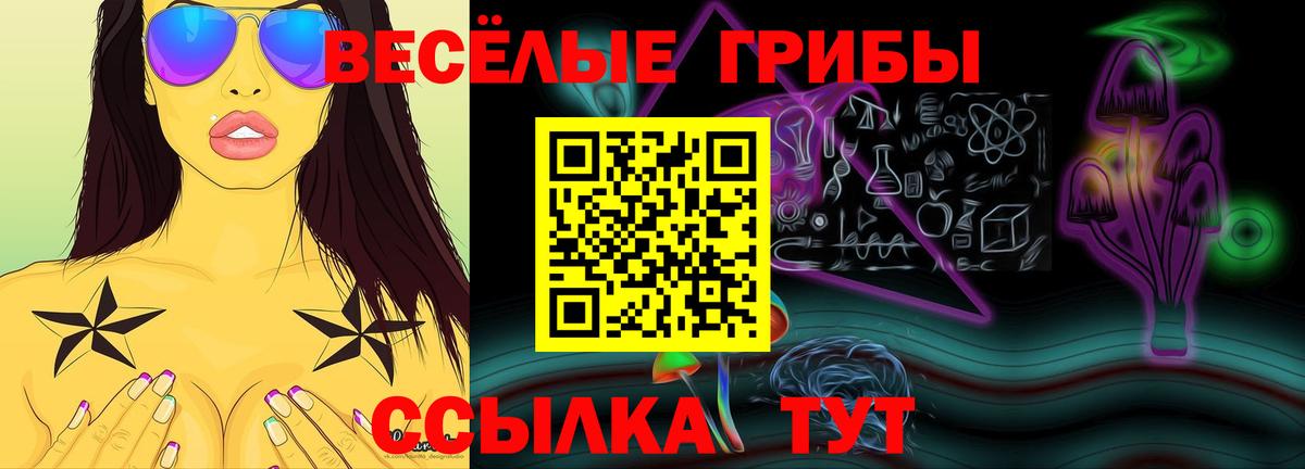 Псилоцибиновые грибы прущие грибы  Псилоцибиновые грибы мицелий  Красноармейск  Вход с VPN 